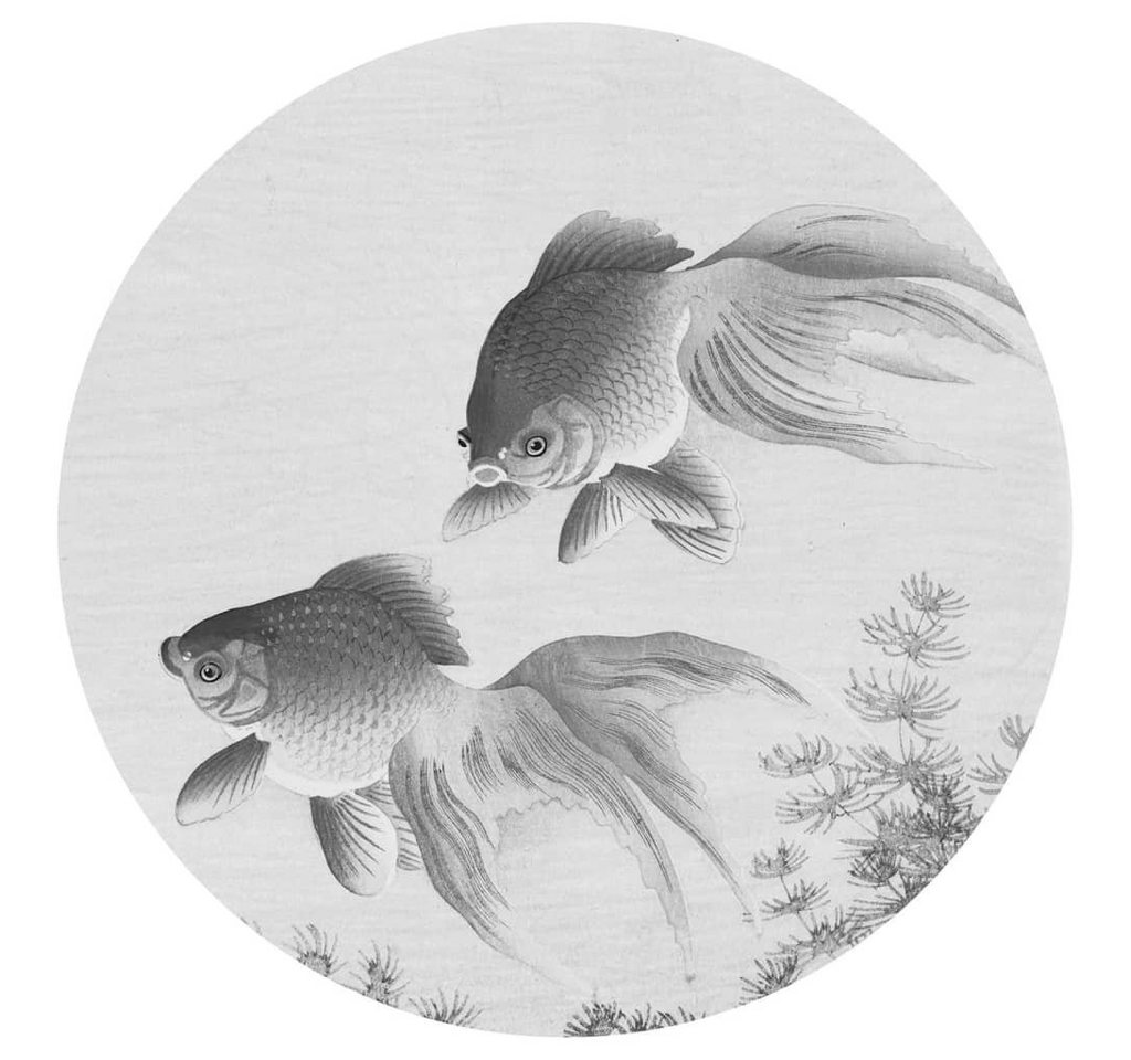WallArt Fototapete Fototapete Two Goldfish Rund 142,5 cm, (1 St) von Wallart