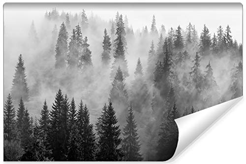 Wallepic Fototapete Wald Nebel 270 x 405 cm Vlies Wand Tapete Bäume Natur Schwarz-Weiß Vliestapete Wohnzimmer Schlafzimmer Bäume Natur Moderne Wandbild von Wallepic