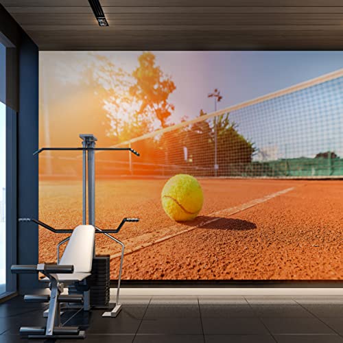 Wallepic Vlies Fototapete Sport Tennis Ball Spielplatz Natur 400 x 280 Moderne Tapete XXL Himmel Sonne Bäume Wohnzimmer Schlafzimmer Büro Flur Mehrfarbig Abstrakt Br.400xHö.280 von Wallepic