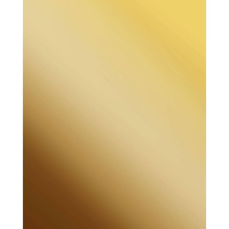 WALLFACE 10139 DECO BRASS Wandpaneel Spiegel Dekor Glanz-Optik messing 2600 mm x 1000 mm x 1,0 mm 2,60 m2 Gold von Wallface