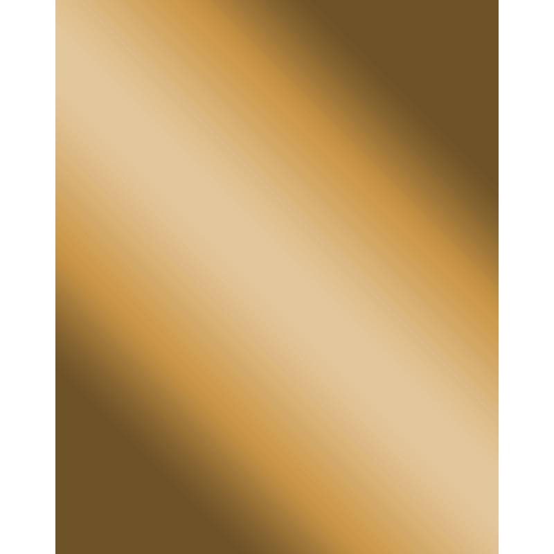 WALLFACE 10187 DECO Gold Wandpaneel Spiegel Dekor Glanz Paneel Gold 2600 mm x 1000 mm x 1,0 mm 2,60 m2 Gold von Wallface