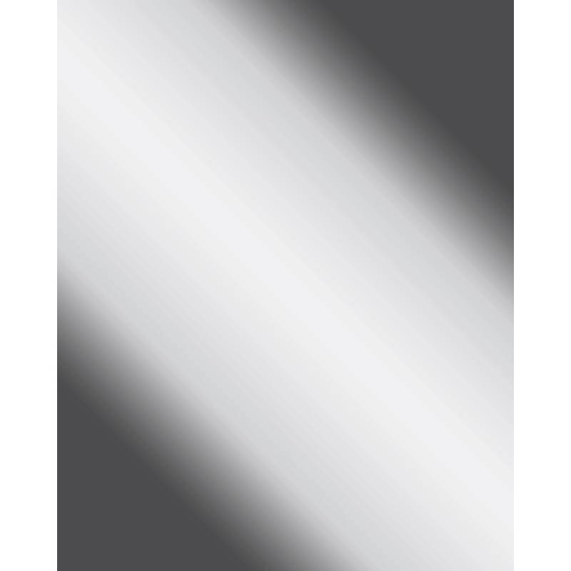 WALLFACE 10324 DECO SILVER Wandpaneel Spiegel Design Glanz-Optik Silber 2600 mm x 1000 mm x 1,0 mm 2,60 m2 Silber von Wallface
