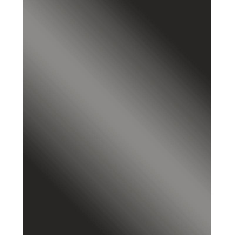 WALLFACE 13810 DECO FASHION Wandpaneel Spiegel Design Wandplatte Grau 2600 mm x 1000 mm x 1,0 mm 2,60 m2 Grau von Wallface