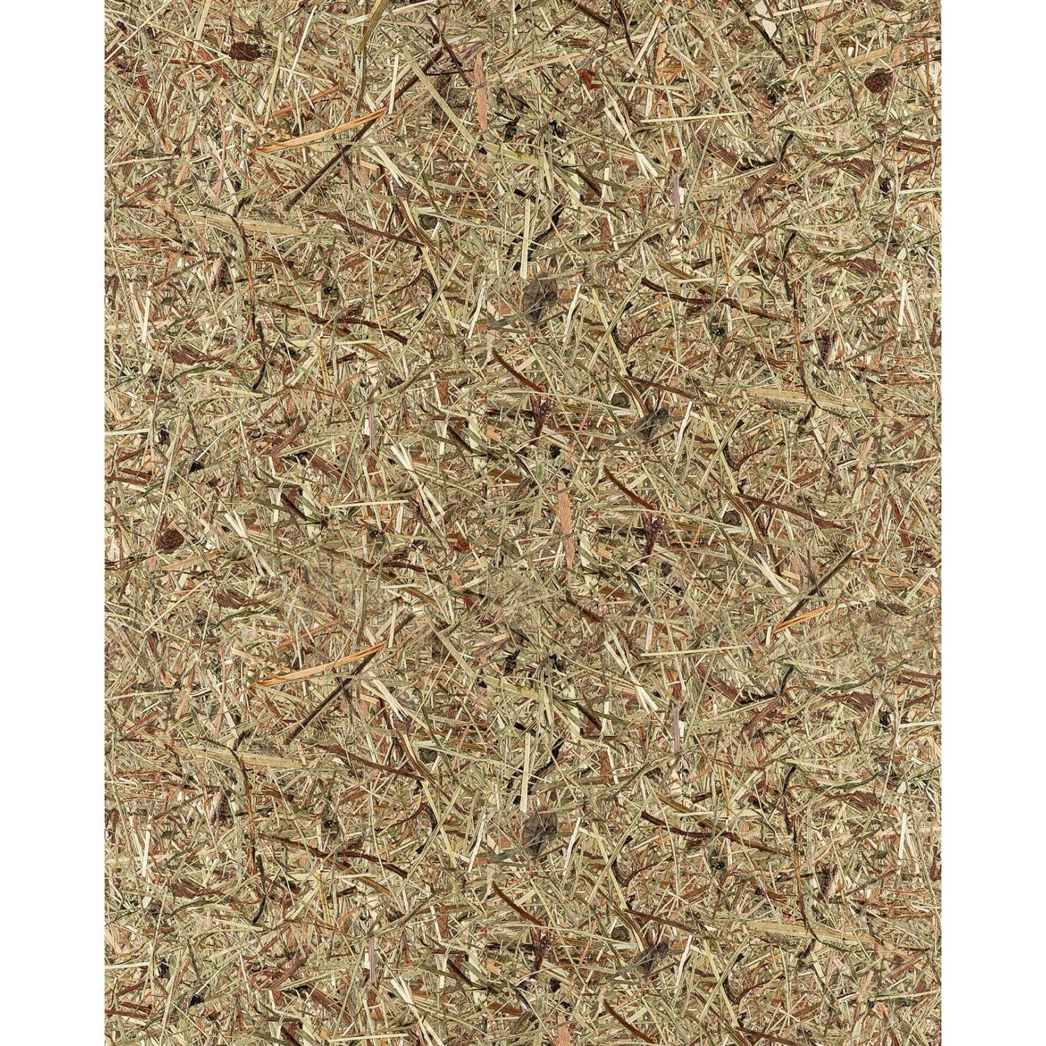 WALLFACE AL-11001 ALPINE PURE Selbstklebende Tapete Almwiesen-Dekor Braun 4 m2 3050 mm x 1360 mm x 1,4 mm 4,15 m2 Braun WALLFACE AL-11001 ALPINE PURE Selbstklebende Tapete Almwiesen-Dekor Braun 4 m2 3050 mm x 1360 mm x 1,4 mm 4,15 m2 Braun von Wallface