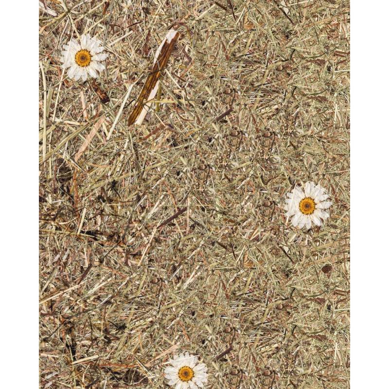 WALLFACE AL-11004 ALPINE WHITE DAISY selbstklebende Tapete Almwiesen-Dekor 4 m2 3050 mm x 1360 mm x 1,4 mm 4,15 m2 Braun von Wallface