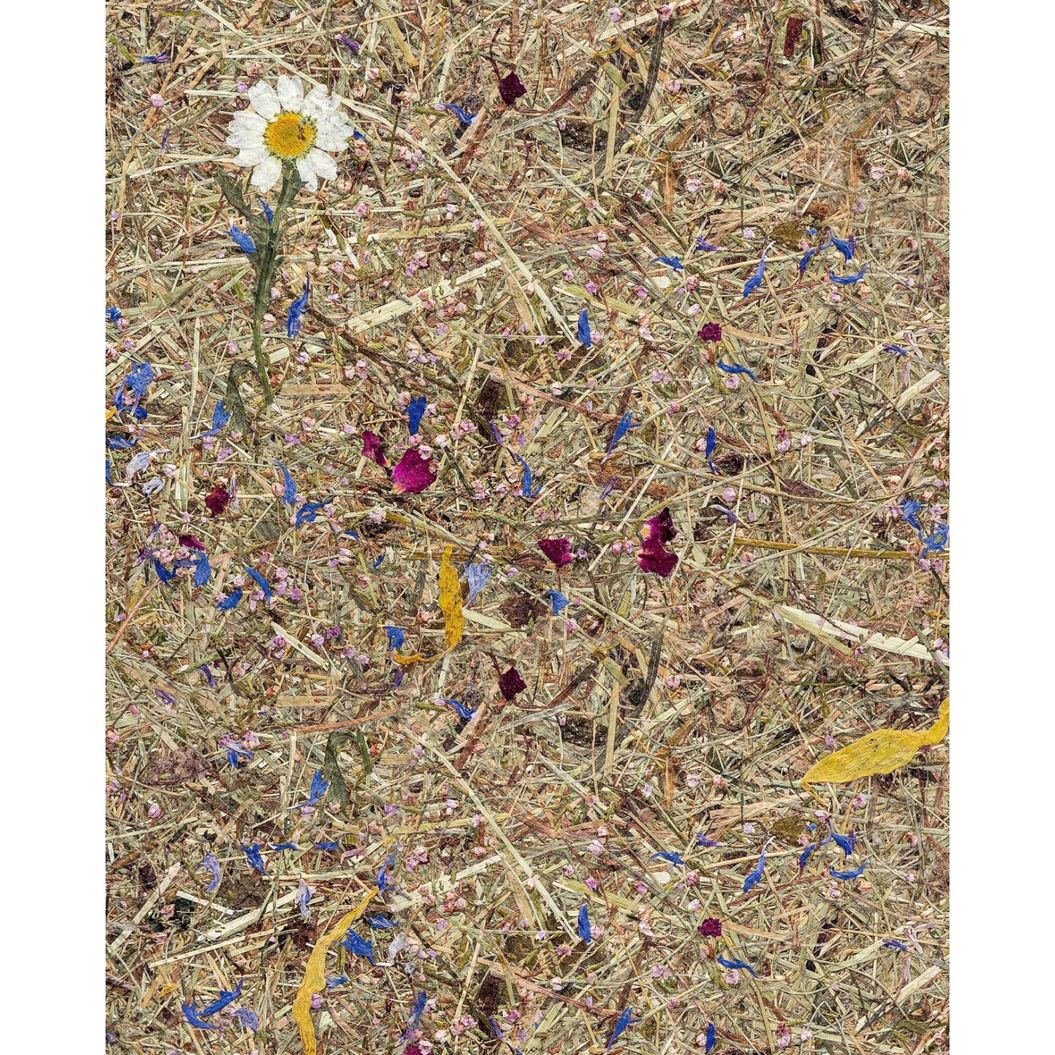 WALLFACE AL-11005 ALPINE POTPOURRI Tapete selbstklebend mit Almwiesen-Dekor 4m2 3050 mm x 1320 mm x 1,4 mm 4,15 m2 Braun WALLFACE AL-11005 ALPINE POTPOURRI Tapete selbstklebend mit Almwiesen-Dekor 4m2 3050 mm x 1320 mm x 1,4 mm 4,15 m2 Braun von Wallface