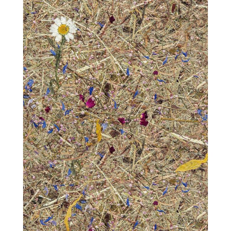 WALLFACE AL-11005 ALPINE POTPOURRI Tapete selbstklebend mit Almwiesen-Dekor 4m2 3050 mm x 1320 mm x 1,4 mm 4,15 m2 Braun von Wallface