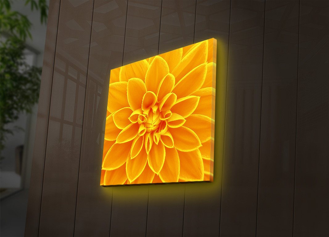 Wallity Leinwandbild LED4238 40 x 40 cm von Wallity