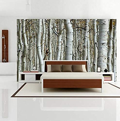 Benutzerdefinierte moderne Naturlandschaft Birkenwald Foto Tapete Restaurant Wohnzimmer Sofa Hintergrund Wandbild T Wanddekoration fototapete 3d Tapete effekt Vlies wandbild Schlafzimmer-400cm×280cm von Wallpaper-3D-WYJ