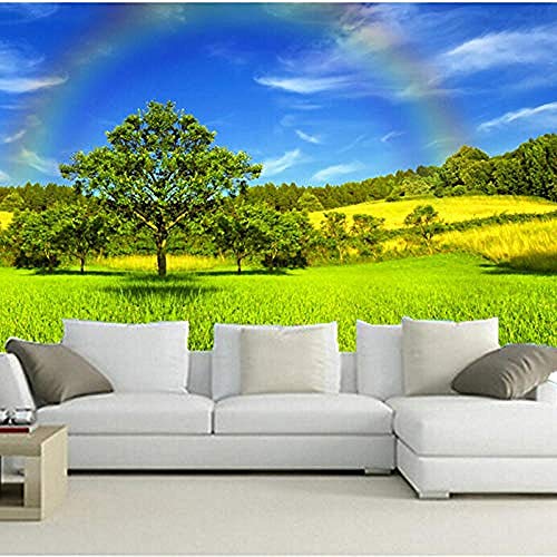 Himmel Sommer Regenbogen Gras Bäume Natur Wallpaper Benutzerdefinierte 3D-Wandbild für das Wohnzimmer Sofa TV Wand Wanddekoration fototapete 3d Tapete effekt Vlies wandbild Schlafzimmer-150cm×105cm von Wallpaper-3D-WYJ