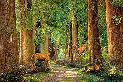 Scenic Forest Deer Grove für Walls Murals Tapete Wanddekoration fototapete 3d Tapete effekt Vlies wandbild Schlafzimmer-250cm×170cm von Wallpaper-3D-WYJ