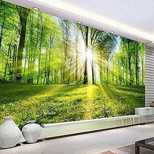 Wandbild Tapete Sonnenschein Wald Landschaft Wandmalerei Wohnzimmer TV Hintergrund Tapeten Home Decor Tapete wandpapier fototapete 3d effekt tapeten Wohnzimmer Schlafzimmer-200cm×140cm von Wallpaper-3D-XYM