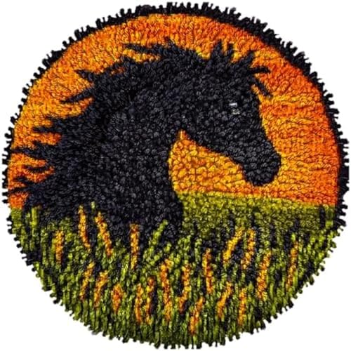 Wallphantom Handarbeit Set Für Erwachsene,Schwarzes Pferd im Gras,Riegel Haken Teppich Kits,Häkelset Für Anfänger,Teppich Herstellung Kits,Stickerei Sofa Kissen Teppich,50x50cm von Wallphantom