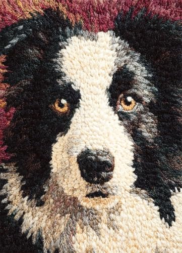 Wallphantom Tier Hund Diy-Teppich Knüpfstern,Border Collie,DIY Embroidery Cushion Rug Unfinished Crochet Rug Set with Pre-Print,Latch Hook Kits for Children and Adults,80x115cm von Wallphantom