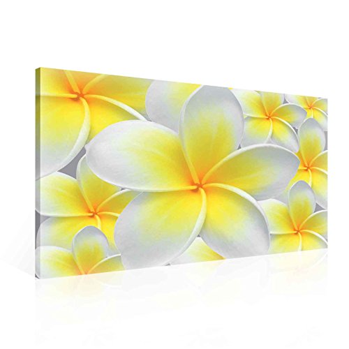 Blumen Frangipani Hawaiisch Natur Leinwand Bilder (PP123O1FW) - Wallsticker Warehouse - Size O1 - 100cm x 75cm - 230g/m2 Canvas - 1 Piece von Wallsticker Warehouse