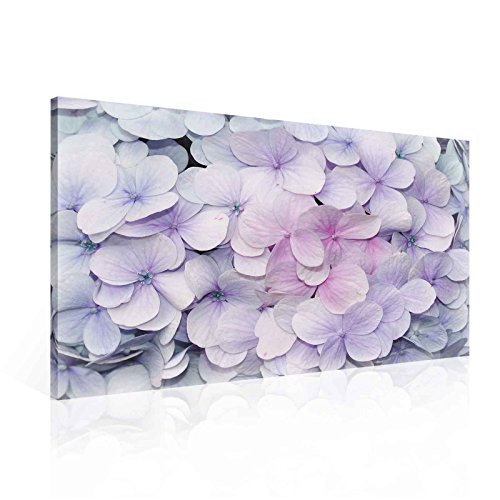 Blumen Hortensie Lila Leinwand Bilder (PP2295O1FW) - Wallsticker Warehouse - Size O1 - 100cm x 75cm - 230g/m2 Canvas - 1 Piece von Wallsticker Warehouse