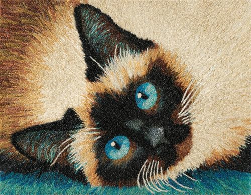 WallustrioaW Tier Hund 3D Knüpfset Knüpfteppich zum Selber,Süße Siamkatze,Knüpfen Teppich für Kinder,Erwachsene oder Anfänger,Kreatives Geschenk,Latch Hook Kit,90x120cm WallustrioaW Tier Hund 3D Knüpfset Knüpfteppich zum Selber,Süße Siamkatze,Knüpfen Teppich für Kinder,Erwachsene oder Anfänger,Kreatives Geschenk,Latch Hook Kit,90x120cm von WallustrioaW