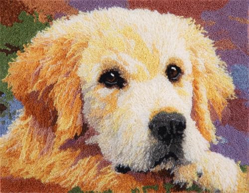 WallustrioaW Tier Hund 3D Knüpfset Knüpfteppich zum Selber,Süßer Golden Retriever,Knüpfen Teppich für Kinder,Erwachsene oder Anfänger,Kreatives Geschenk,Latch Hook Kit,90x120cm WallustrioaW Tier Hund 3D Knüpfset Knüpfteppich zum Selber,Süßer Golden Retriever,Knüpfen Teppich für Kinder,Erwachsene oder Anfänger,Kreatives Geschenk,Latch Hook Kit,90x120cm von WallustrioaW