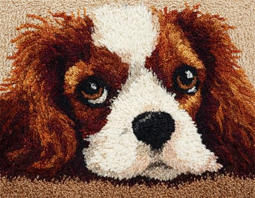 WallustrioaW Tier Hund Knüpfteppich Zum Selber Knüpfen-Sets,Charles Spaniel,Latch Hook Rug,Vorgedrucktes Muster Leinwand Teppich Stickerei Handwerk Für Erwachsene,90x120cm WallustrioaW Tier Hund Knüpfteppich Zum Selber Knüpfen-Sets,Charles Spaniel,Latch Hook Rug,Vorgedrucktes Muster Leinwand Teppich Stickerei Handwerk Für Erwachsene,90x120cm von WallustrioaW