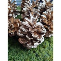 10 Stück Goldene Kieferzapfen Deko Herbst Winter Gesteck Diy Weihnachten von WalnussBastelstube