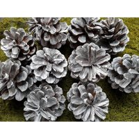 10 Stück Silberne Kieferzapfen Deko Herbst Winter Gesteck Diy Weihnachten von WalnussBastelstube