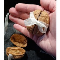 Große Walnussschatulle Schleife Schatulle Walnusshälften Walnuss Basteln Geschenk Botschaft Gutschein Geldgeschenk Hochzeit von WalnussBastelstube