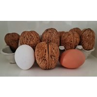 xxxxl Riesige 6, 0 cm Walnussschalen Walnusshälften Walnuss Schalen Dekoration Basteln Gesteck Winter Weihnachten Diy Geschenkedeko von WalnussBastelstube