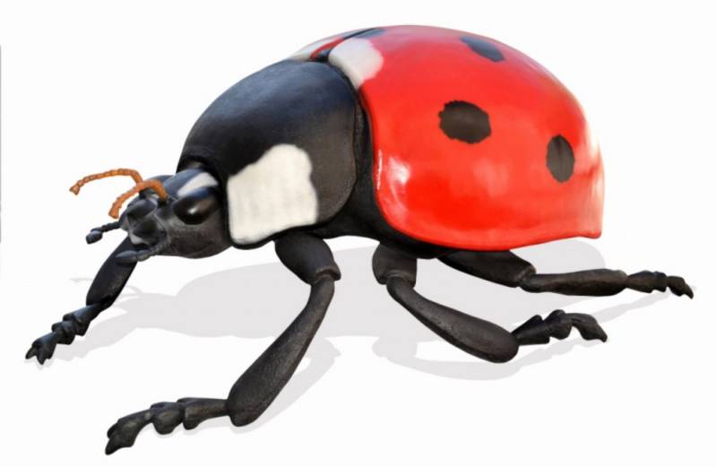 Walt-Deko Dekofigur XXL Marienenkäfer 350cm breit Dekorationsfigur/Werbefigur - von Walt-Deko