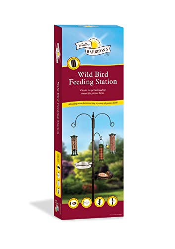 Walter Harrison's Traditionelle Futterstation für Wildvögel mit Vier Futterbereichen von Walter Harrisons