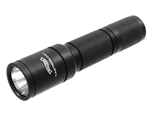 Walther Taschenlampe LED 250 Lumen, 3.7064, 120 von Walther