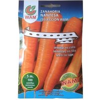 WAM - Nantesa -Karottensamen auf 5 m Band (500 Samen) von Wam