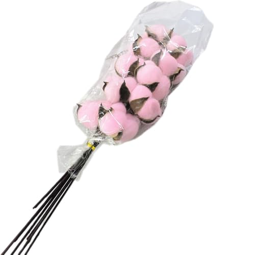 Wambere 10 Baumwolle Deko,Natürlich Getrocknete Baumwolle Künstliche Dekoblumen Baumwolle Deko für Hochzeitsdeko oder TischdekorationBlumen Arrangements Heim Decor DIY Dekoration Home Party,Rosa von Wambere