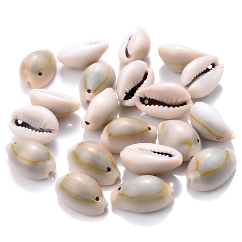 100 Stück Muscheln bastelnmuscheln mit löcher Ideal zum Basteln, Deko oder zum Schmuckherstellung,VasenfüLlung,ArmbäNder,HalskettenzubehöR,Hochzeitsdekoration Zum Thema Strandparty,wahre Farbe 100 Stück Muscheln bastelnmuscheln mit löcher Ideal zum Basteln, Deko oder zum Schmuckherstellung,VasenfüLlung,ArmbäNder,HalskettenzubehöR,Hochzeitsdekoration Zum Thema Strandparty,wahre Farbe von Wambere
