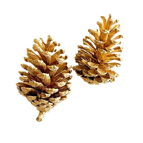 12 Stück Tannenzapfen,Weihnachten Tannenzapfen Dekoration,Natürliche Tannenzapfen Anzapfen Basteln,Christmas Ornaments Christbaumschmuck Weihnachtsschmuck,für Weihnachten Party Deko,Gold 12-15cm von Wambere