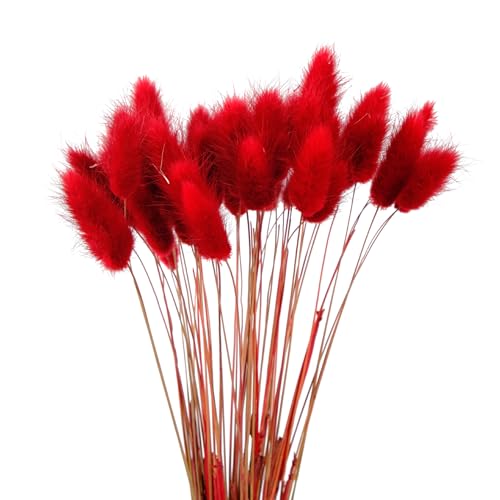 120 Stück 40cm Natürliche Trockenblumen Deko Getrocknete Pampasgras Deko Verwelken Nie Trockenblumen Boho Deko Super Flauschig für Blumen Arrangements Heim Decor,Rot von Wambere