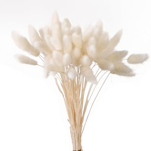 120 Stück 40cm Natürliche Trockenblumen Deko Getrocknete Pampasgras Deko Verwelken Nie Trockenblumen Boho Deko Super Flauschig für Blumen Arrangements Heim Decor,Weiß von Wambere