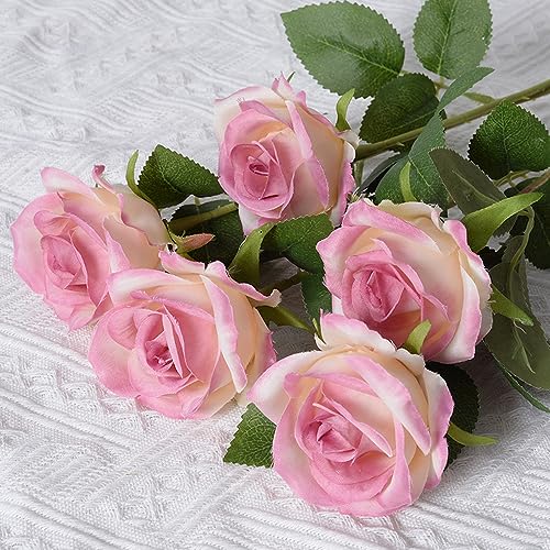 5 Stück Künstliche Rosen,Kunstblumen Rose Künstlich Blumenköpfe Fake Rosen mit Stielen für Hochzeit Party Valentine's Day Nach Hause Halloween Vase Tischdeko Thanksgiving Zuhause Dekoration,Rosenrot A 5 Stück Künstliche Rosen,Kunstblumen Rose Künstlich Blumenköpfe Fake Rosen mit Stielen für Hochzeit Party Valentine's Day Nach Hause Halloween Vase Tischdeko Thanksgiving Zuhause Dekoration,Rosenrot A von Wambere
