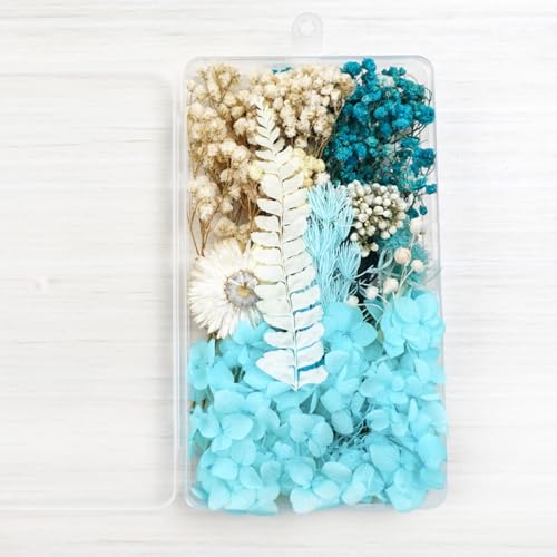Natürliche Getrocknete Blumen,Trockenblumen Getrocknete Blumen,Trockenblumen zum Basteln,Handgefertigte DIY-konservierte Blumen,für Kunst Basteln Scrapbooking Handwerk DIY Kerze Harz,Blau Natürliche Getrocknete Blumen,Trockenblumen Getrocknete Blumen,Trockenblumen zum Basteln,Handgefertigte DIY-konservierte Blumen,für Kunst Basteln Scrapbooking Handwerk DIY Kerze Harz,Blau von Wambere