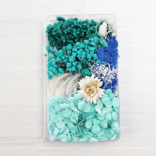 Natürliche Getrocknete Blumen,Trockenblumen Getrocknete Blumen,Trockenblumen zum Basteln,Handgefertigte DIY-konservierte Blumen,für Kunst Basteln Scrapbooking Handwerk DIY Kerze Harz,Himmelblau Natürliche Getrocknete Blumen,Trockenblumen Getrocknete Blumen,Trockenblumen zum Basteln,Handgefertigte DIY-konservierte Blumen,für Kunst Basteln Scrapbooking Handwerk DIY Kerze Harz,Himmelblau von Wambere