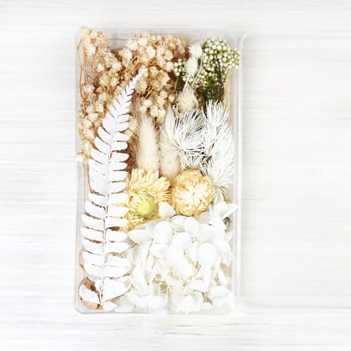 Natürliche Getrocknete Blumen,Trockenblumen Getrocknete Blumen,Trockenblumen zum Basteln,Handgefertigte DIY-konservierte Blumen,für Kunst Basteln Scrapbooking Handwerk DIY Kerze Harz,Weiß B Natürliche Getrocknete Blumen,Trockenblumen Getrocknete Blumen,Trockenblumen zum Basteln,Handgefertigte DIY-konservierte Blumen,für Kunst Basteln Scrapbooking Handwerk DIY Kerze Harz,Weiß B von Wambere