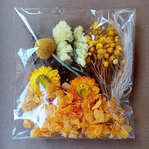 Trockenblumen Set,Natürliche Getrocknete Blumen,Trockenblumen zum Basteln,Immerwährende Blume,Getrocknete Gepresste Blumen,für DIY Kerze Harz Scrapbooking Handwerk Karten Machen,Gelb von Wambere