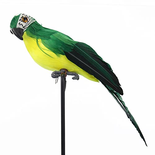 Wambere Lifelike Fake Parrots Colorful Artificial Birds Model Birds Decoration Outdoor Home Garden Lawn Tree Decor,Realistische Simulation Papagei,Künstlicher Papagei Gefiederte Vögel Dekor,Grün 35cm von Wambere