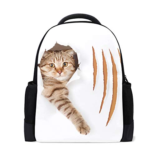 Lustige Katze Reise Laptop Rucksack Schule Buch Tasche Cute Kätzchen Tiere Causal Daypack Outdoor Business Wandern Rucksäcke Camping Schultertaschen für Studenten Damen Herren von Wamika
