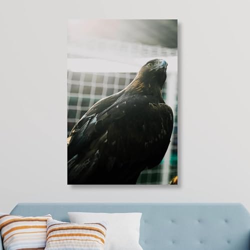 Eintracht Frankfurt Fanartikel - Adler Attila Fotografie - Wandbild (60cm x 40cm) auf Aluminium I Exklusive Motive von WandMagie