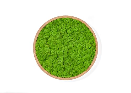 WandMagie Moosbild rund aus echtem Islandmoos hellgrün mit Rahmen I Großes Pflanzenbild (40cm) mit grünem konservierten Moos von WandMagie