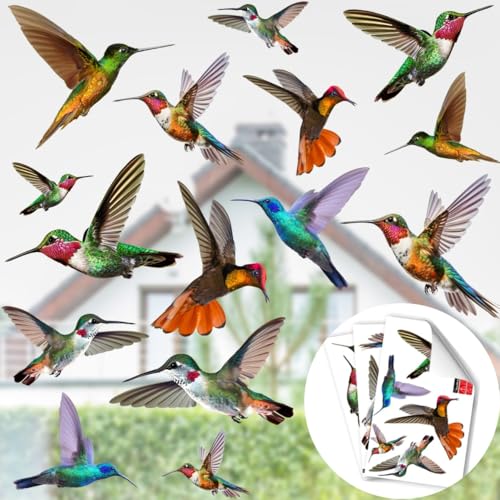 WandSticker4U®- [3er Pack] wiederverwendbare Fensteraufkleber Vogelschutz KOLIBRI bunt I Fensterbilder Vögel selbstklebend Frühling I Vogel Aufkleber Fenster Vogelschutz für Glasscheiben von WandSticker4U