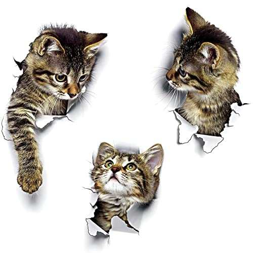 WandSticker4U®- 3x 3D KATZEN zum Kleben I Wandsticker Klo WC Aufkleber Toilettendeckel Katze selbstklebend I Wandtattoo Tier Küche Möbel Tür- & Kühlschrank-Aufkleber von WandSticker4U