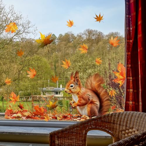 WandSticker4U®- Fensterbilder Herbst selbstklebend EICHHÖRNCHEN & HERBSTBLÄTTER (67x49 cm) I Fenstersticker Herbstdeko Fenster Wohnzimmer I Fensterdeko Herbst Kinderzimmer wiederverwendbar GROß von WandSticker4U