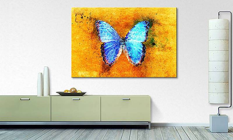 Leinwandbild Common Morpho von WandbilderXXL