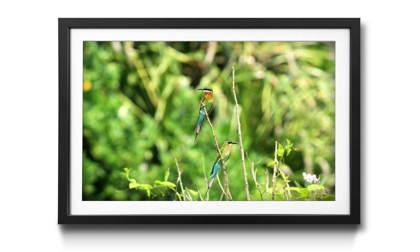 WandbilderXXL Bild mit Rahmen Bird Couple, Blumen, Wandbild, in 4 Größen erhältlich von WandbilderXXL